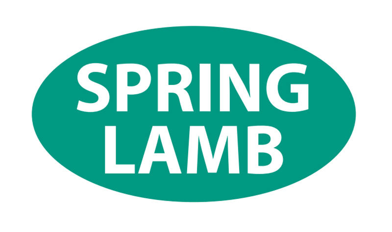SPRING LAMB(250)LABELS
