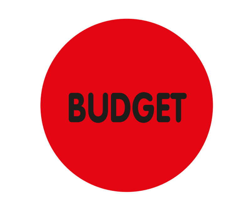 BUDGET LABELS(500)