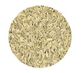 1KG FENNEL SEEDS (S/M)