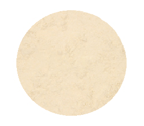 1KG GARLIC POWDER (S/M)