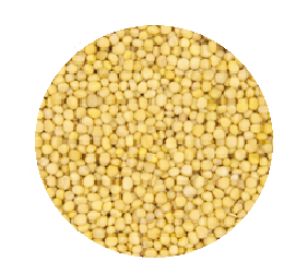 1KG MUSTARD SEEDS YELLOW (S/M)
