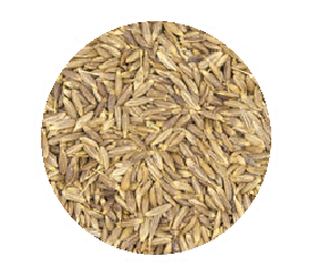 1KG CUMIN SEEDS