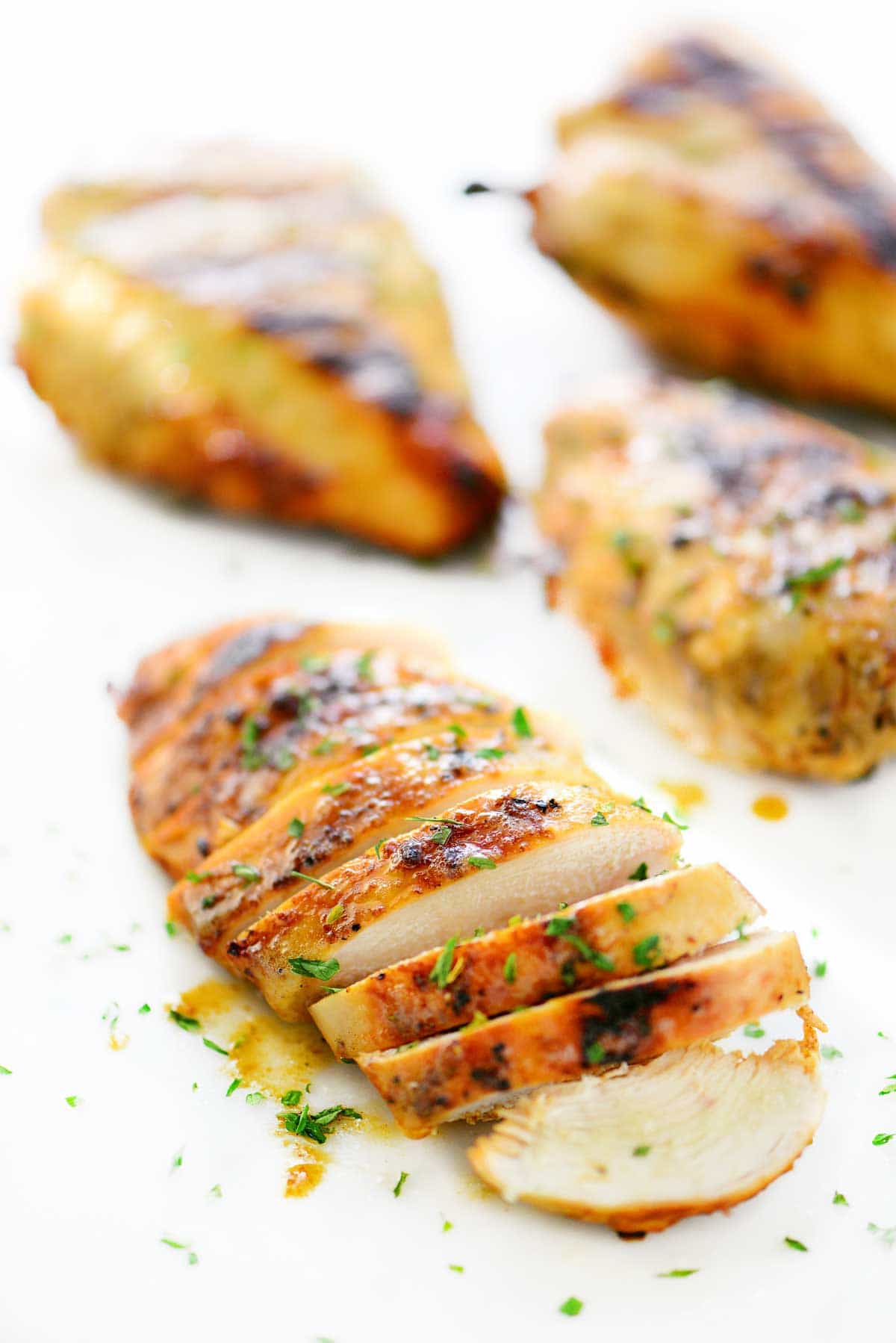 5KG HERB & GARLIC COATING (1082-010)